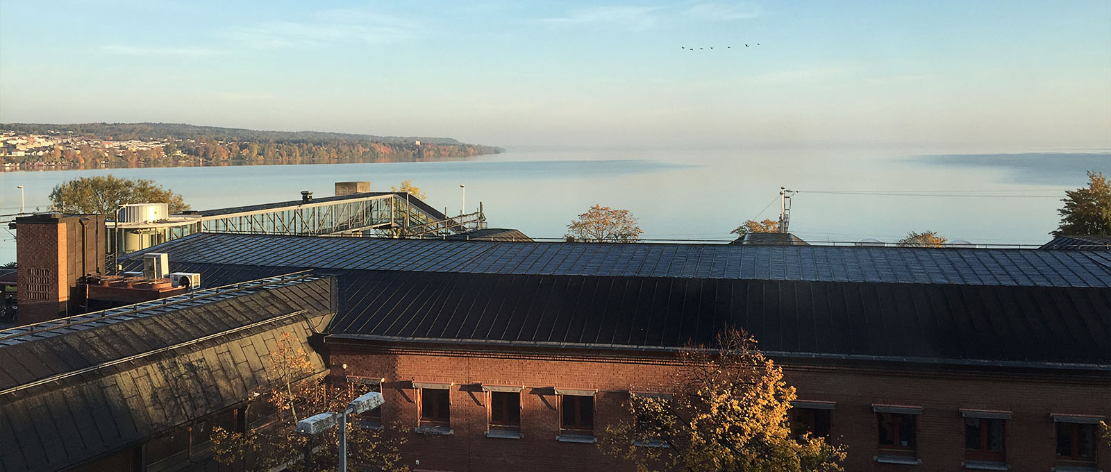 Vybild över Vättern från skolans hustak